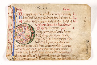 Fragment av Frostatingsloven (RA, Riksarkivets diplomsamling, F26/L0001: Norrøne membranfragmenter bestand 1).