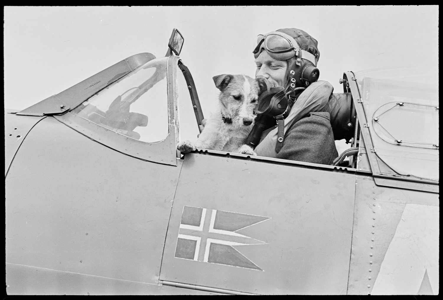 mann og en hund i et fly