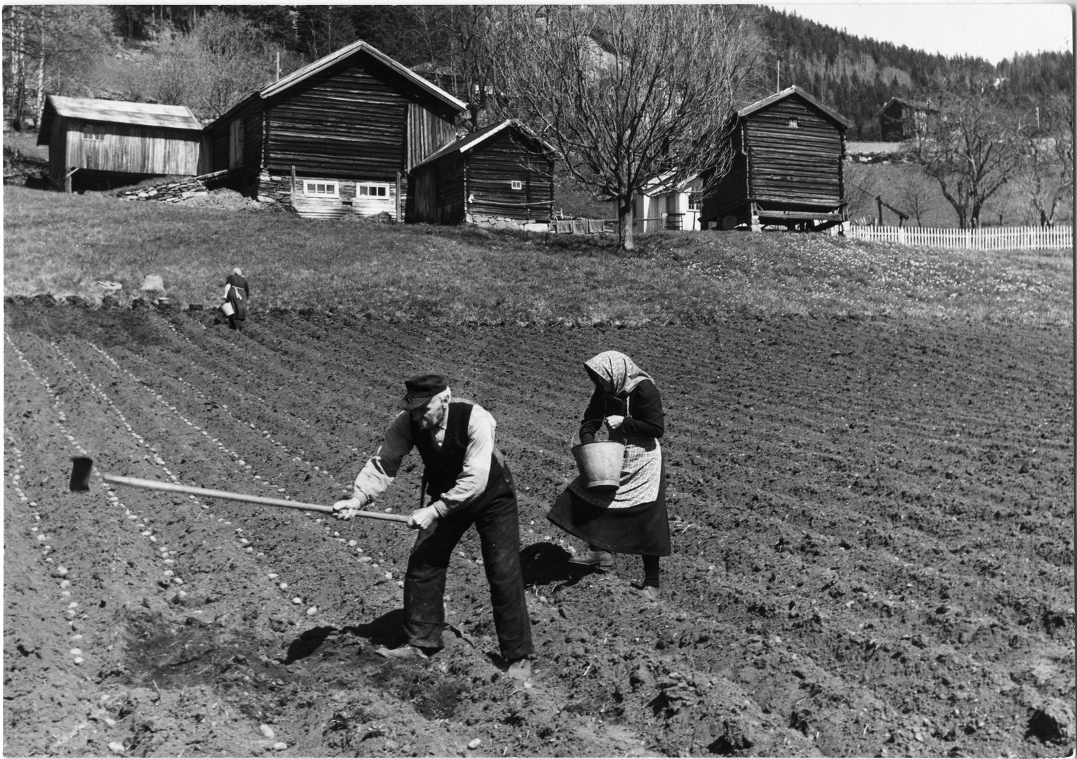 Fylkeslandbrukskontoret i Telemark